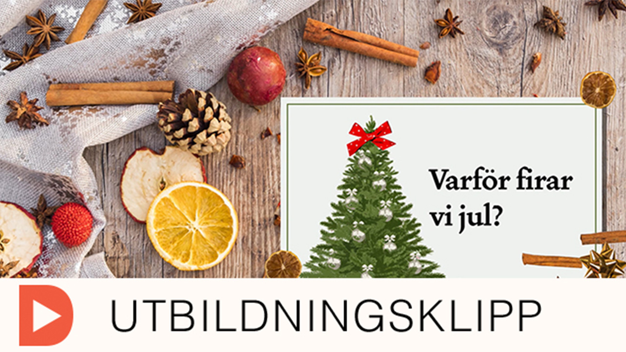 varförfirarvijul